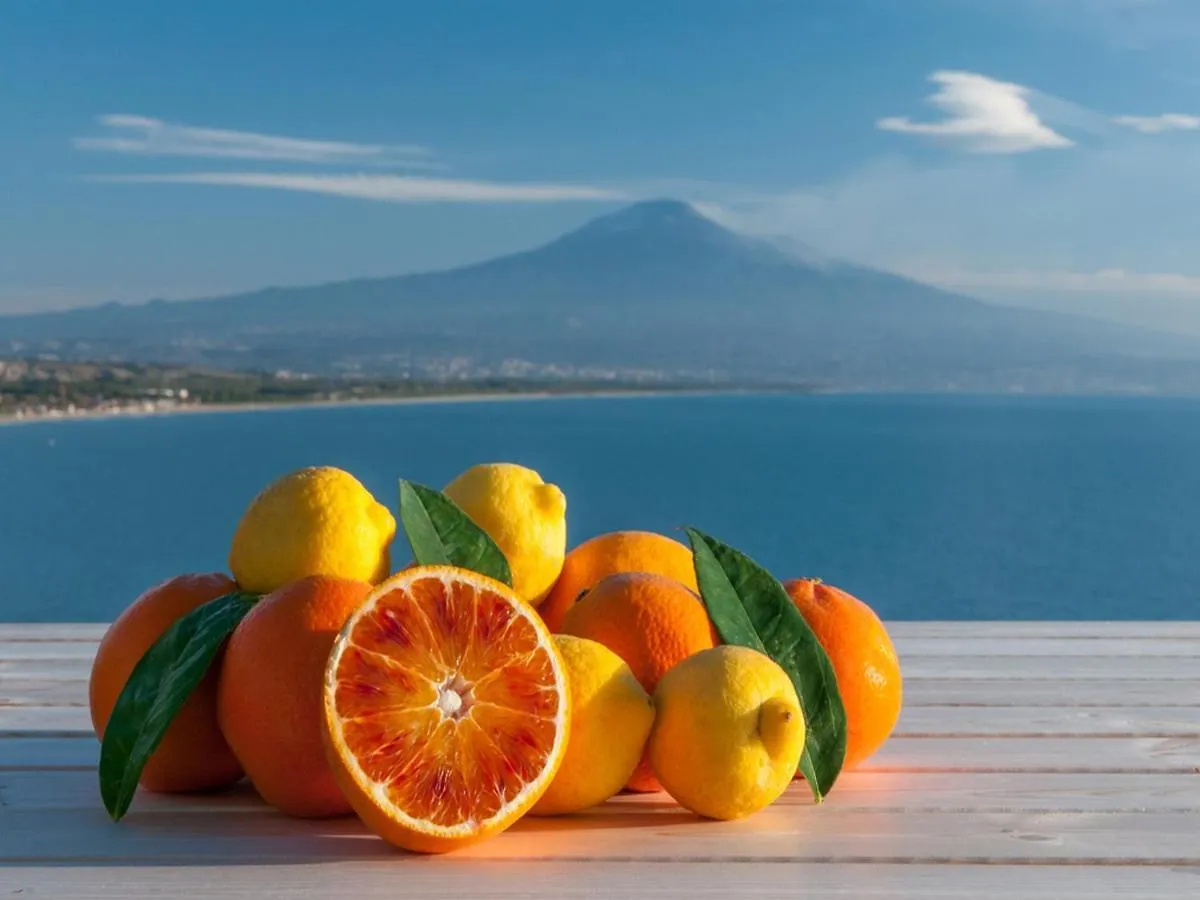 Villaggio Albergo Internazionale La Plaja Catania Holiday park